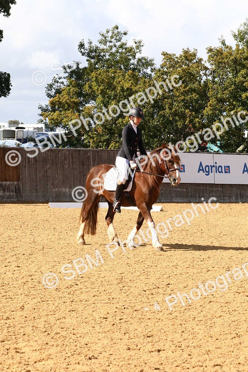 SBM_24393 - D5 - Small Tour Championshop Intro 2