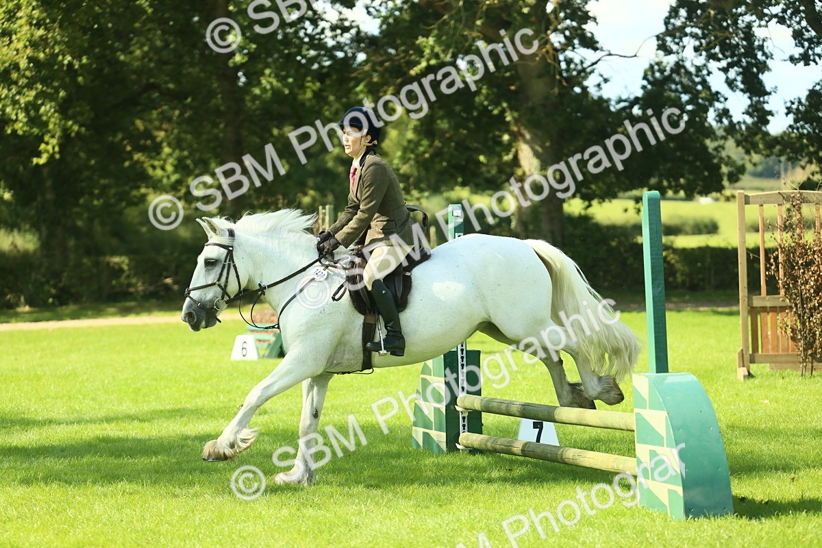 SBM_41994 - S29 - Novice & Newcomers Working Hunter Pony