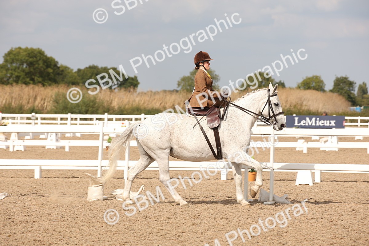 SBM_06717 - Class 24 Concours d'elegance
