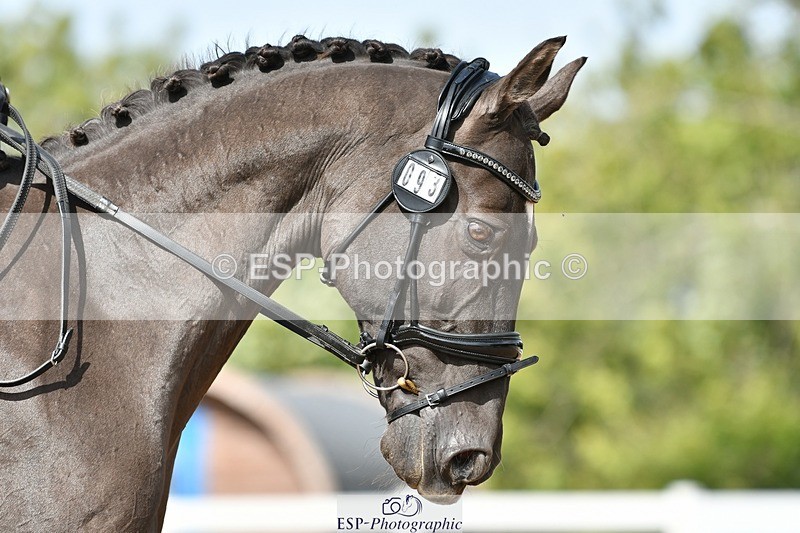 250906-123300-02728 - 093-Tia.RattyRolos.sweet.like.chocolate