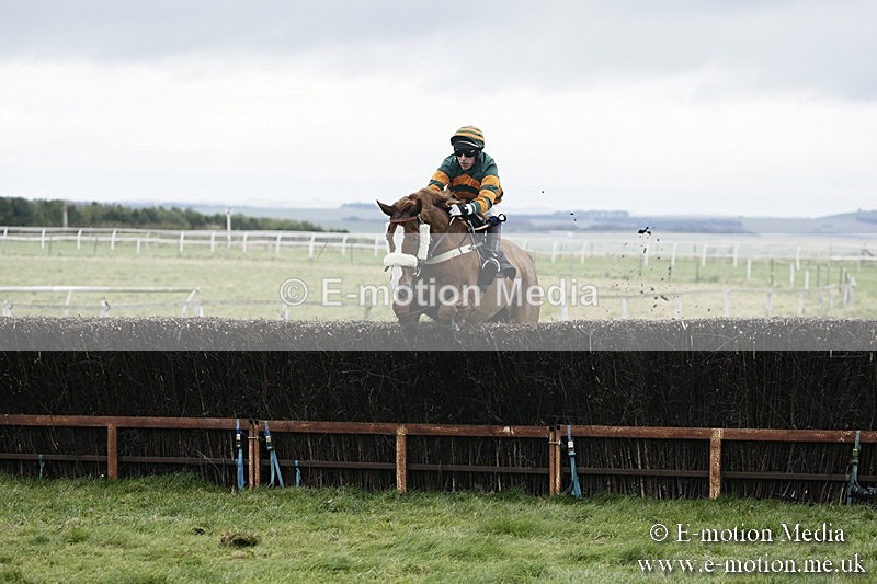 PtP 031217 310 - Hursley Hambledon Point-to-Point Larkhill 03/12/17