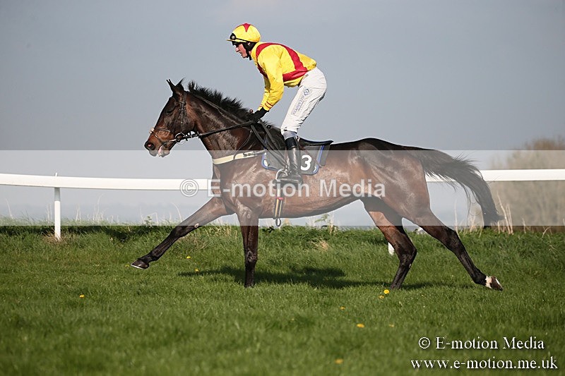 PtP 210418 560 - South & West Wilts Point-to-Point Larkhill 21/04/18
