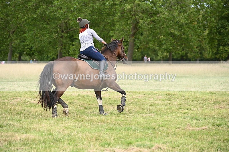 WJ6_3804 - Time at Jump 12:22 to 13:03