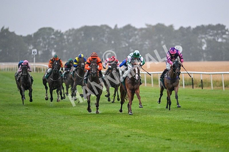 150725-Race 3-The Kamikaze King-6725 - Race 3