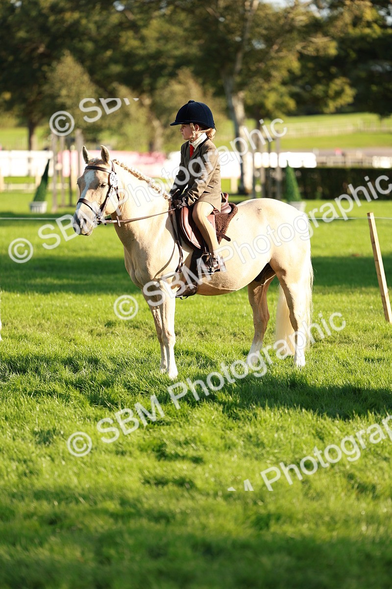 SBM_28766 - S7 - Novice & Newcomer Ridden Pony