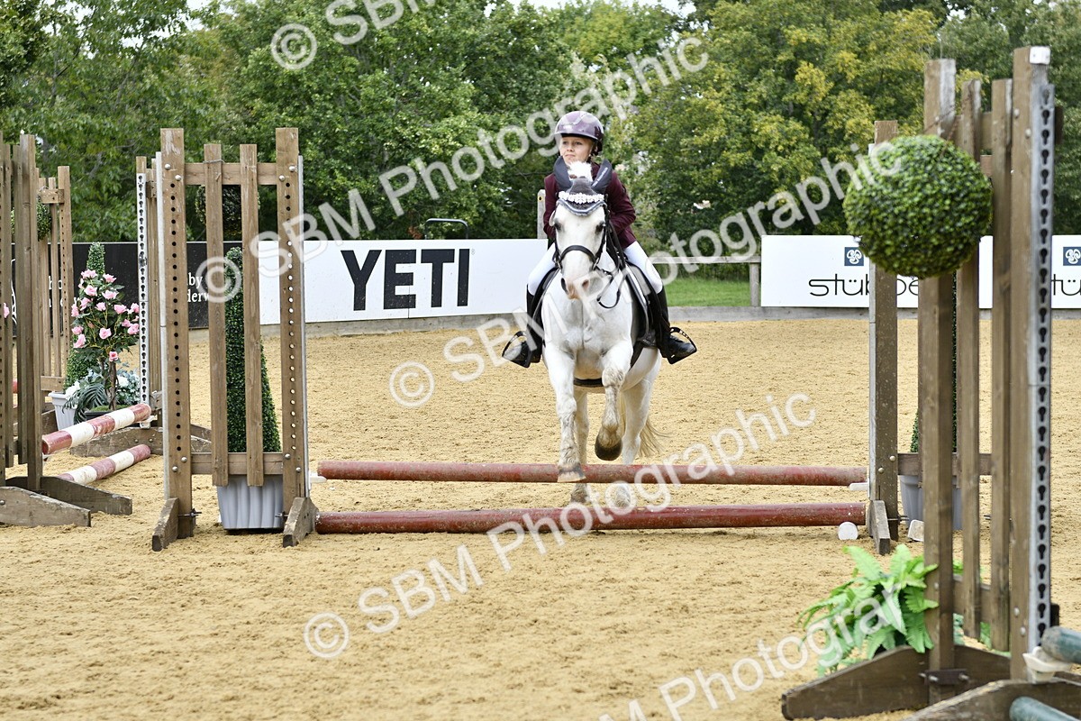 SBM_65536 - J2a mini Tour Junior Pony 30cm Championship