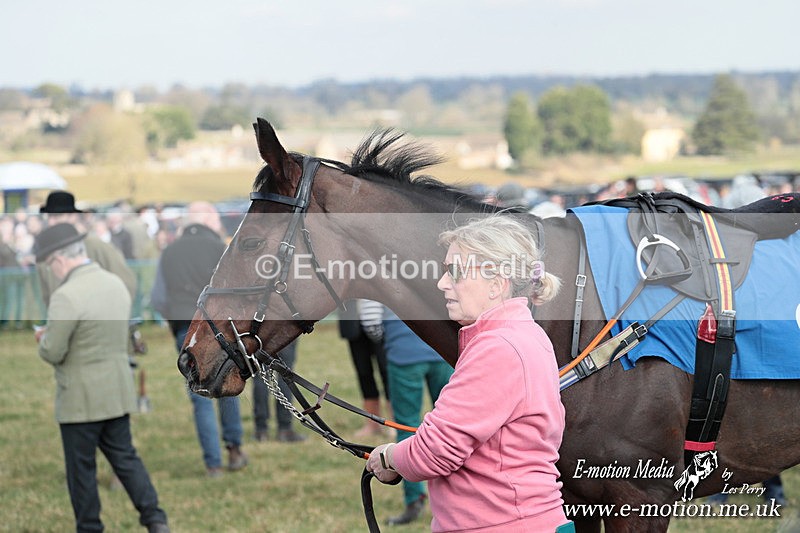 PtP 010325 147 - Beaufort Races Didmarton 01/03/25