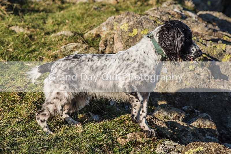 Dunnerdale-1066 - Dunnerdale Fell Race Saturday 11th November 2023