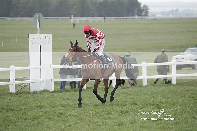 PtP 260323 0614 - New Forest Hounds Point-to-Point Larkhill 26/03/23