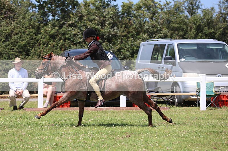 JPP_2453 - Class 21: Working Hunter 60cm