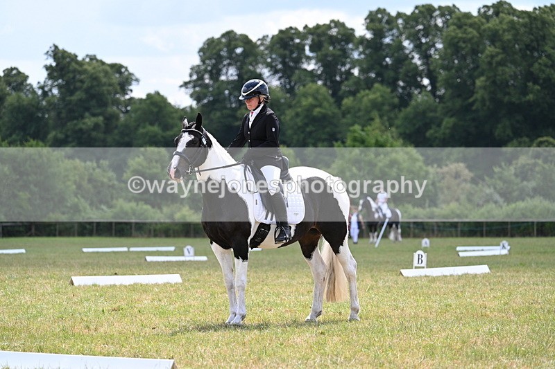 WJ7_5387 - Time 11:22 to 11:51