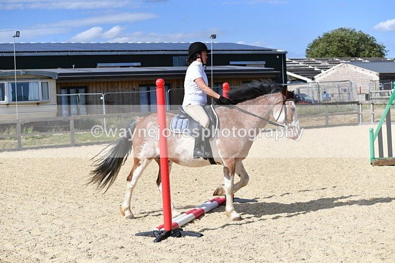 WJ5_5552 - Poles on the Floor