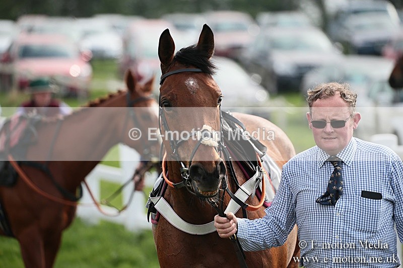 PtP 210418 299 - South & West Wilts Point-to-Point Larkhill 21/04/18