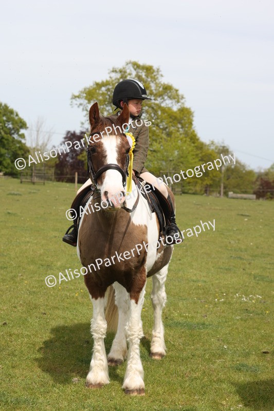 20260426-4431 - Class 34 - Best Riding Horse Over 14.2hh