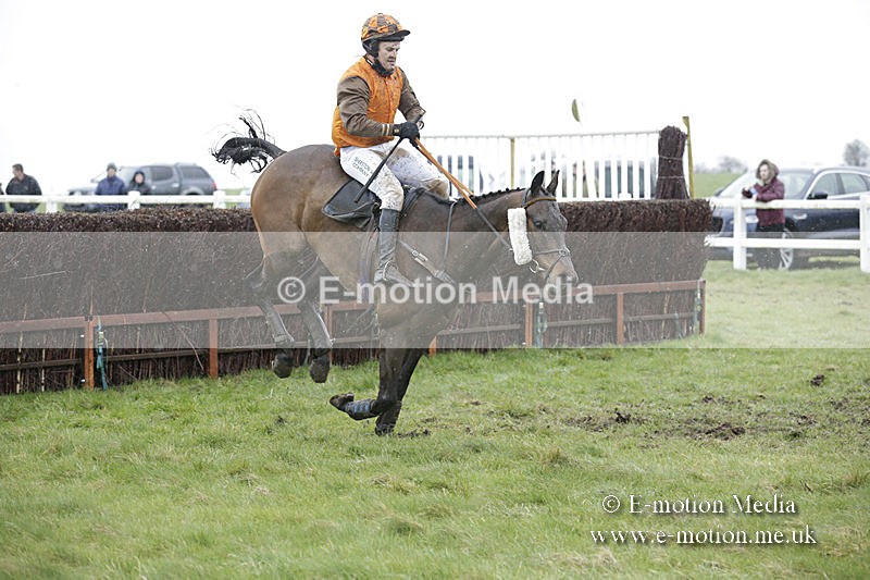 PtP 150320 0341 - New Forest Point-to-Point Larkhill 15/03/20