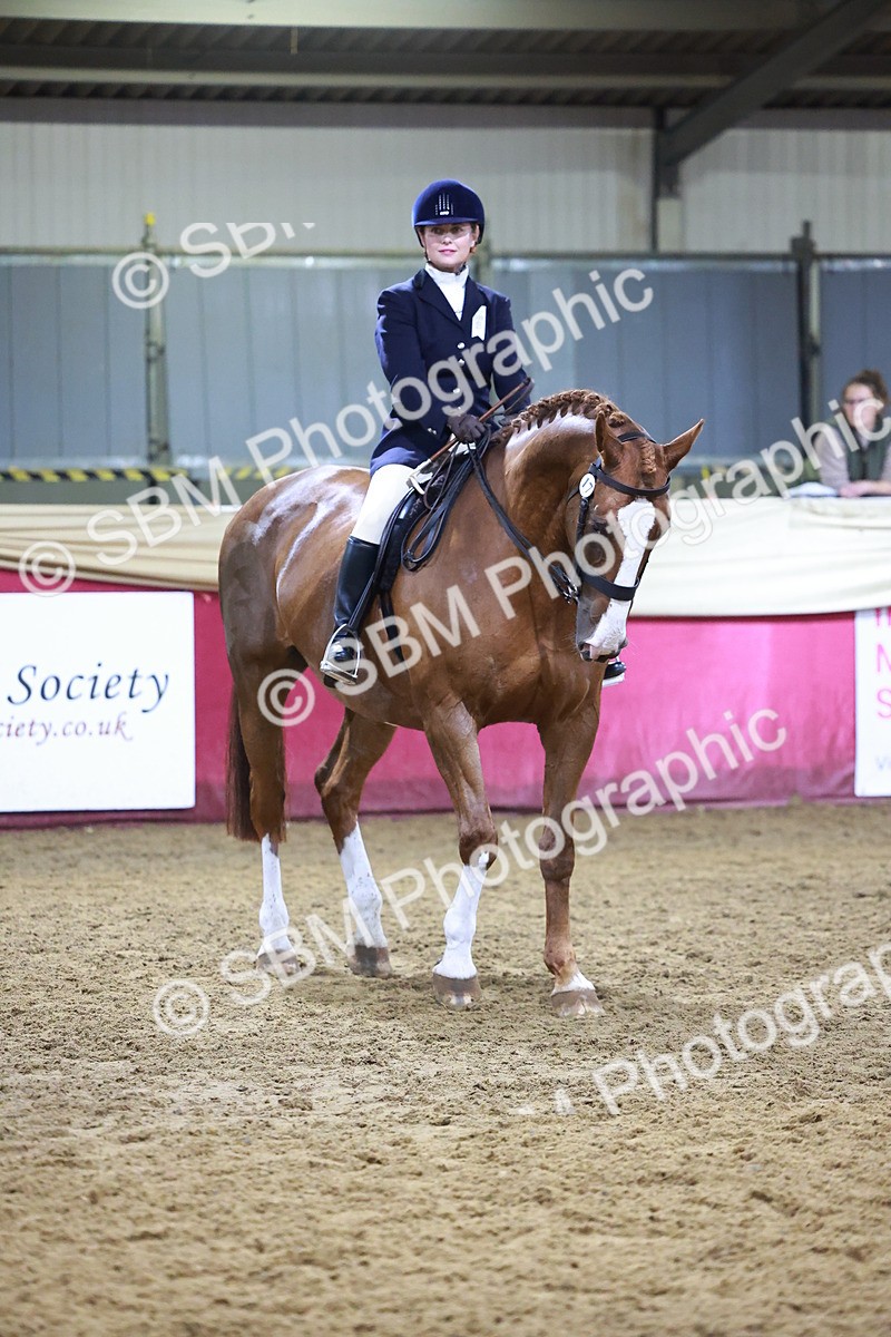 SBM_15421 - Class Q - Ridden Horse Champ