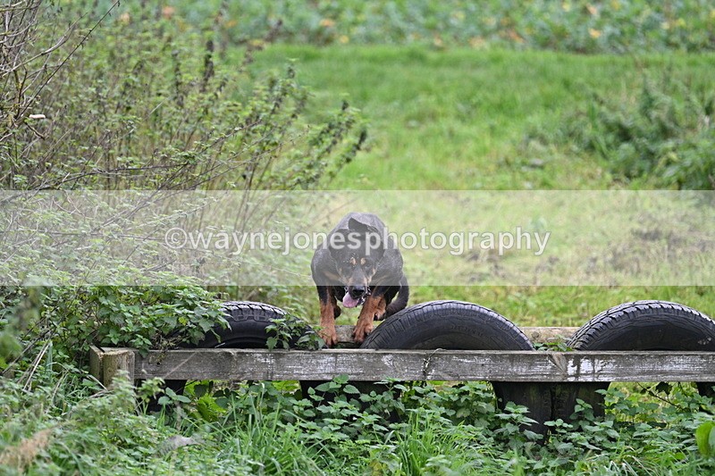 WJ7_8952 - Camera 1 only on this line