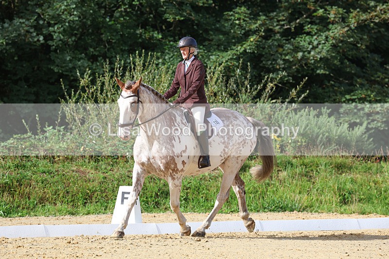 3E7A2396 - Class 1: Intro 4 2024 section A