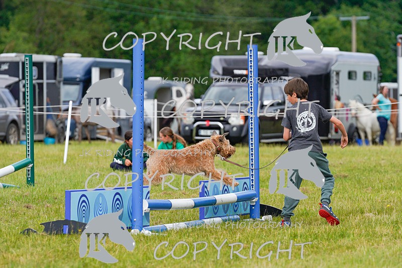 _DSC4815 - CLASS 7 HORSE & HOUND RING 2