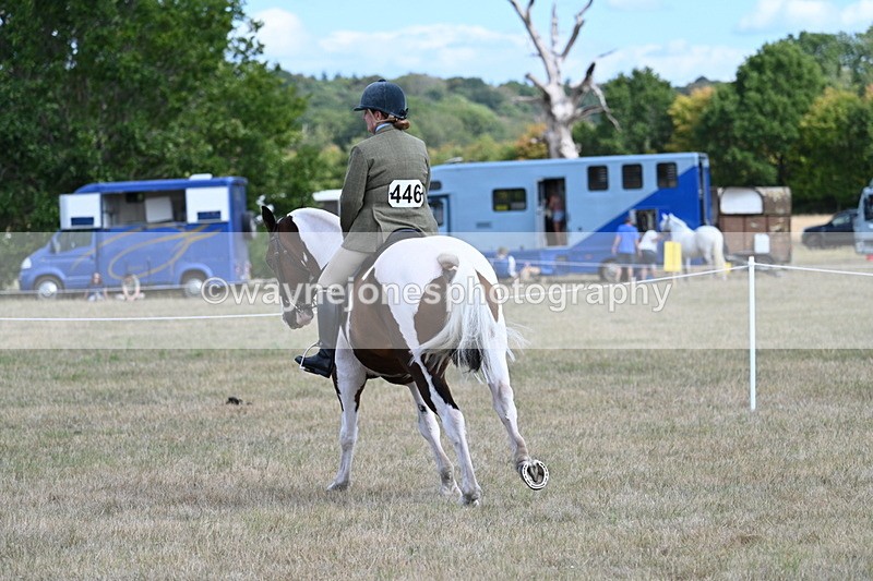 WJ7_7247 - Class 14 Ridden Coloured