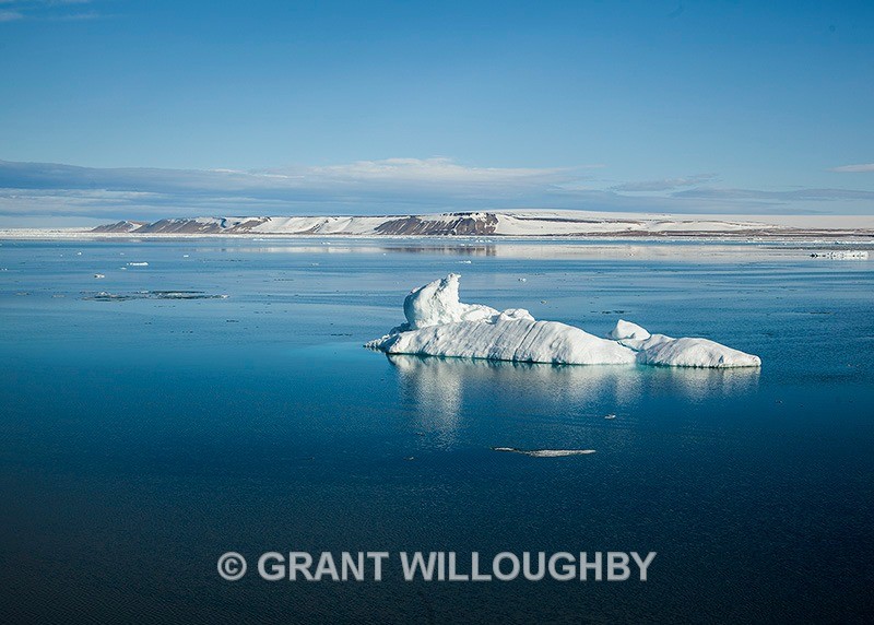  - Arctic