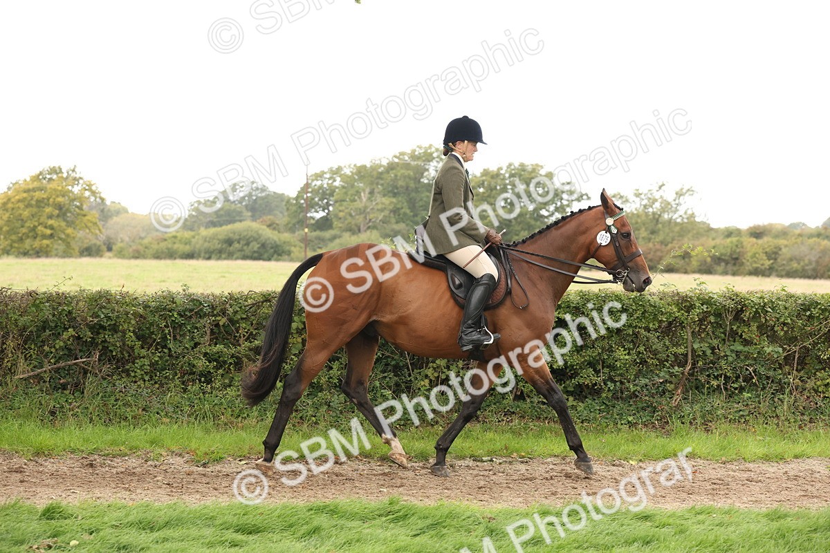 SBM_64177 - S65 - Riding Horse & Hack & Thoroughbred Ridden