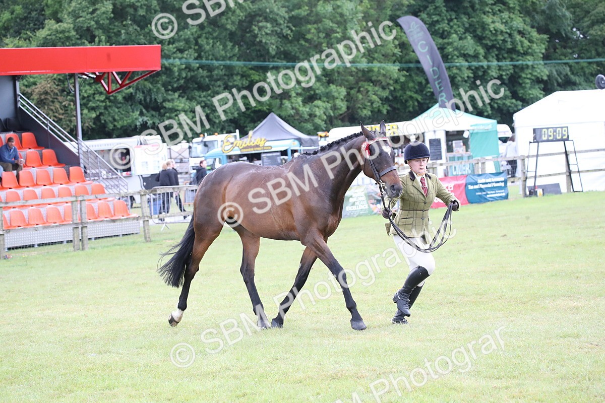 SBM_11455 - Class 94 - LIHS BSHA Racehorse to Showhorse