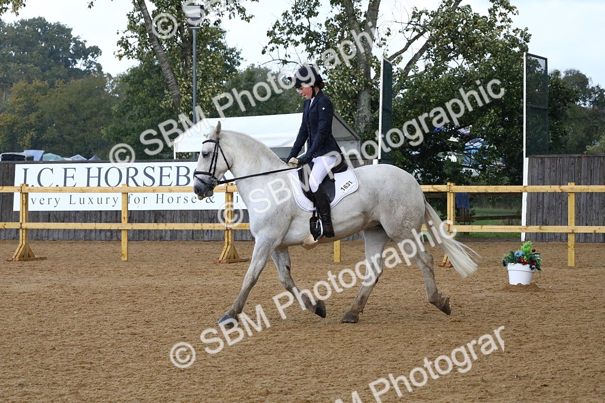 SBM_20888 - D5 - Small Tour Championshop Intro 2