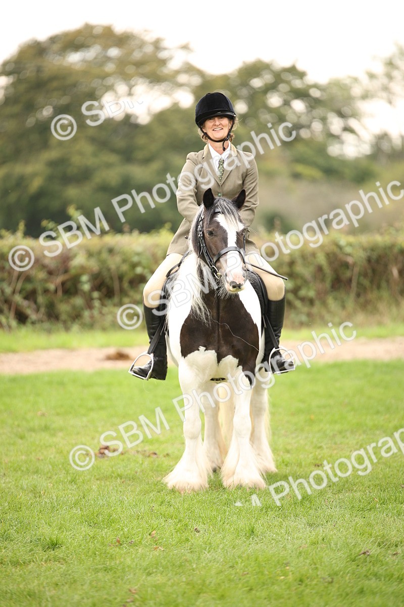 SBM_73569 - S68 - Traditional Cob Ridden