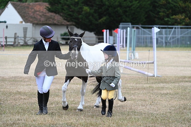 WJ7_9567 - Class 5 Most Handsome Gelding (up to 14.2hh)