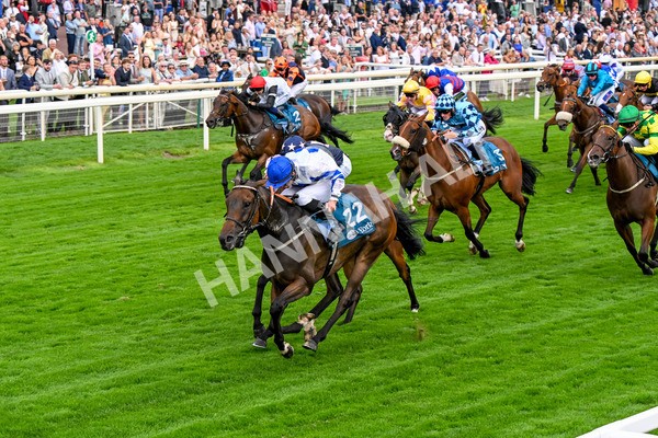 250725-Race 4-Dicko The Legend-0623 - Race 4 7.13pm Tomahawk Restaurants Handicap