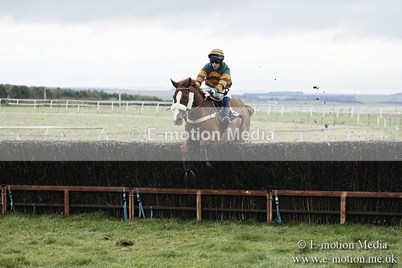 PtP 031217 311 - Hursley Hambledon Point-to-Point Larkhill 03/12/17