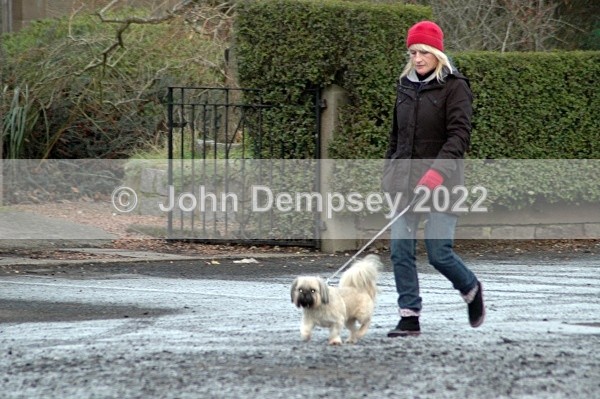 Walking With Style - Walking the Dog