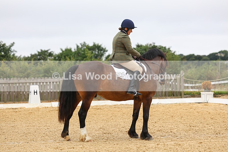 3E7A4600 - Class 1: Intro 4 2024 section A