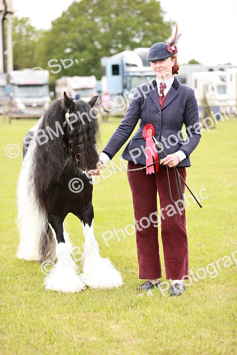 SBM_06004 - Class 39-41 TGCA In Hand and Ridden