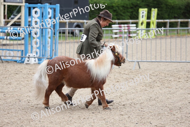 20250524-0087 - Class 1 - Best Condition