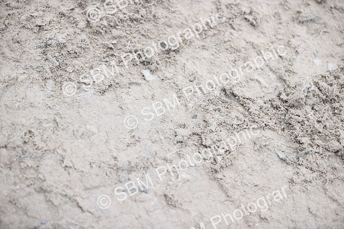 SBM_001020 - Class 4 - Springboard 128cm 138cm Restricted Handicap 90cm 1.00m