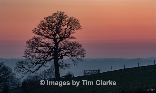 IMG_9204-Edit - NewLands Corner