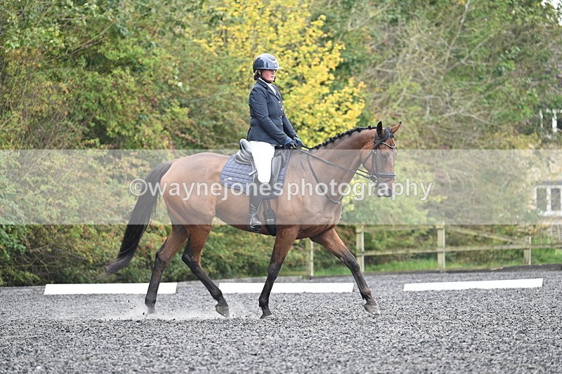 WJ7_4686 - Time 12:12 to 12:30