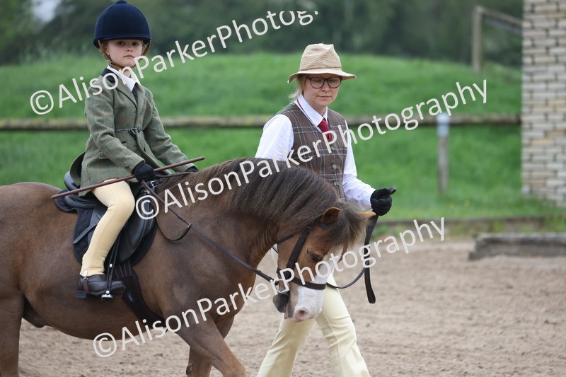 20260504-0120 - Class 9 - Lead Rein Pony
