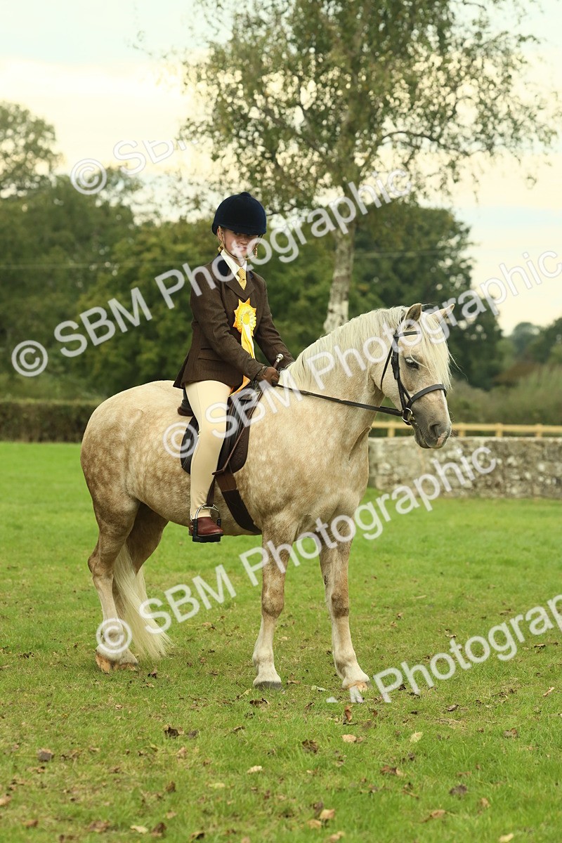 SBM_72341 - S60 - Mountain & Moorland Ridden Large Breeds