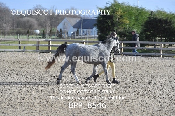 BPP_8546 - RING 2 - M&M