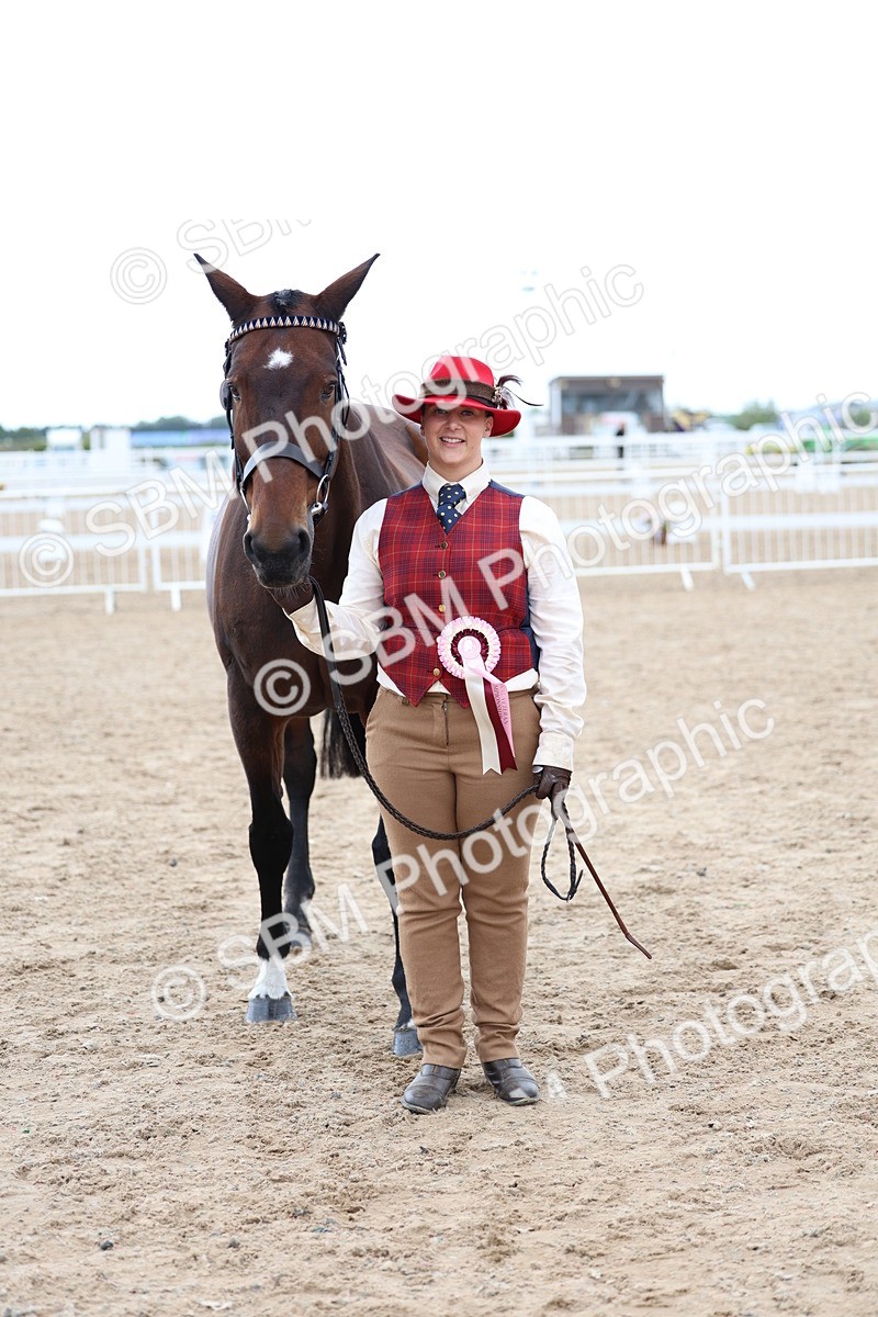 SBM_05145 - Class 27 - IH Competition Horse or Pony