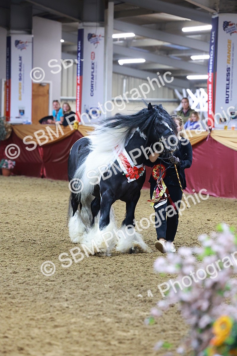 SBM_14939 - Class L - Coloured Champ