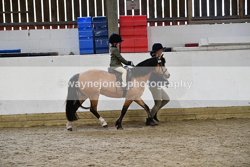 WJ5_6556 - Class 10 Childs Pony
