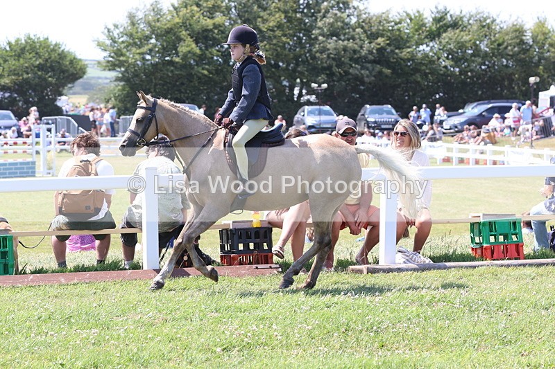 JPP_2322 - Class 20: Tiny Tots Working Hunter Pony