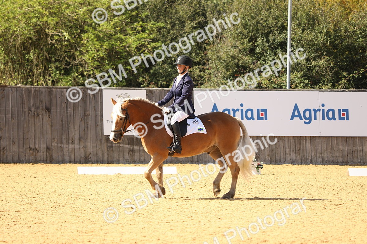 SBM_22380 - D17 - Grand Tour Championship - Novice 27