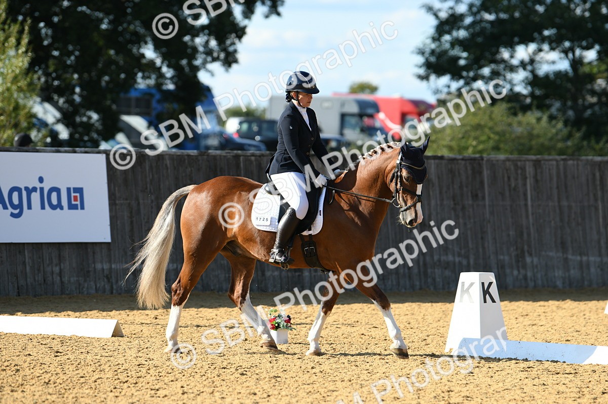 SBM_27295 - D16 - Small Tour Championship - Novice 28
