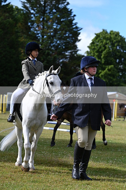 WJ7_4288 - Class 1 Lead Rein Pony