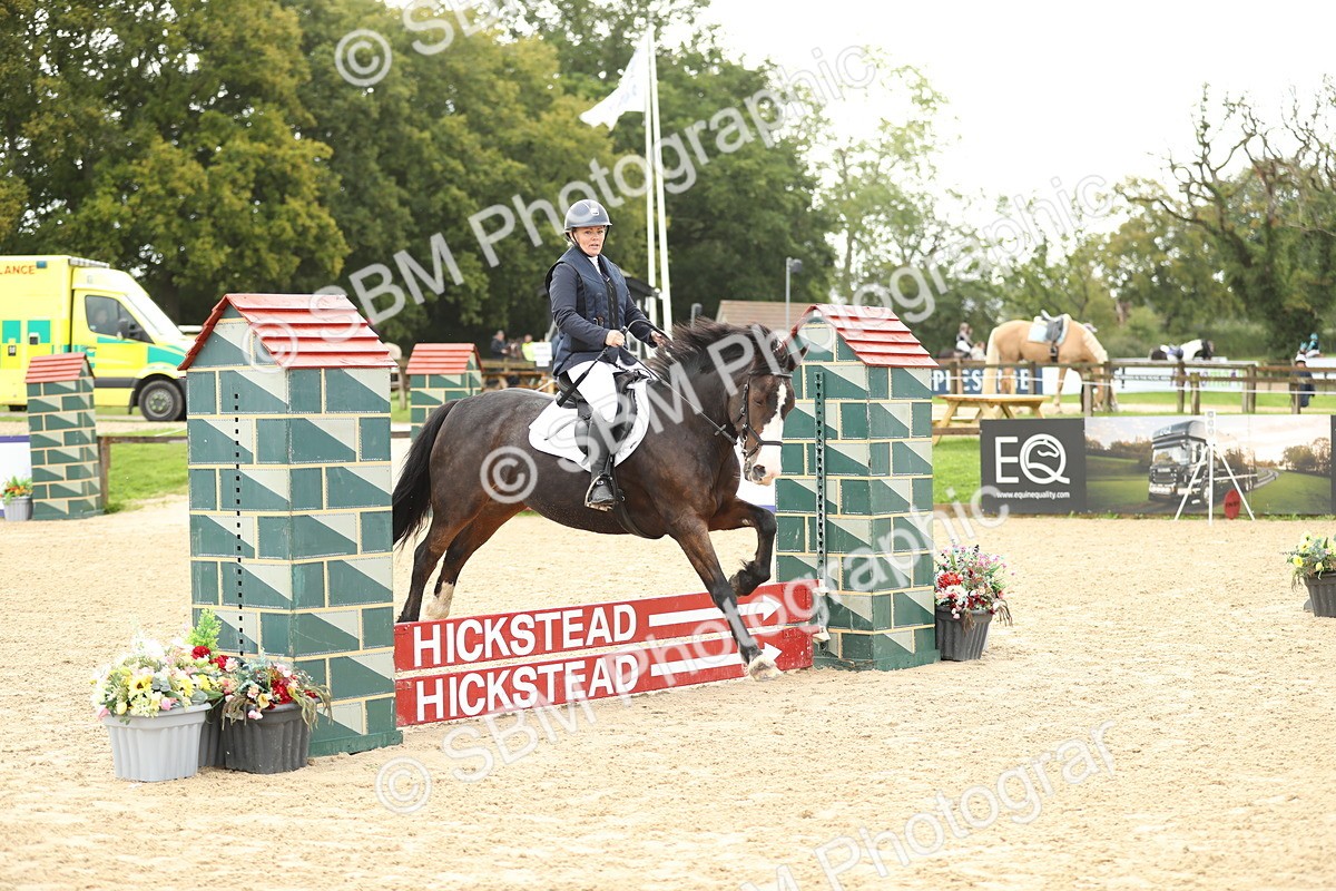SBM_02007 - J34 - Veteran Rider 50cm